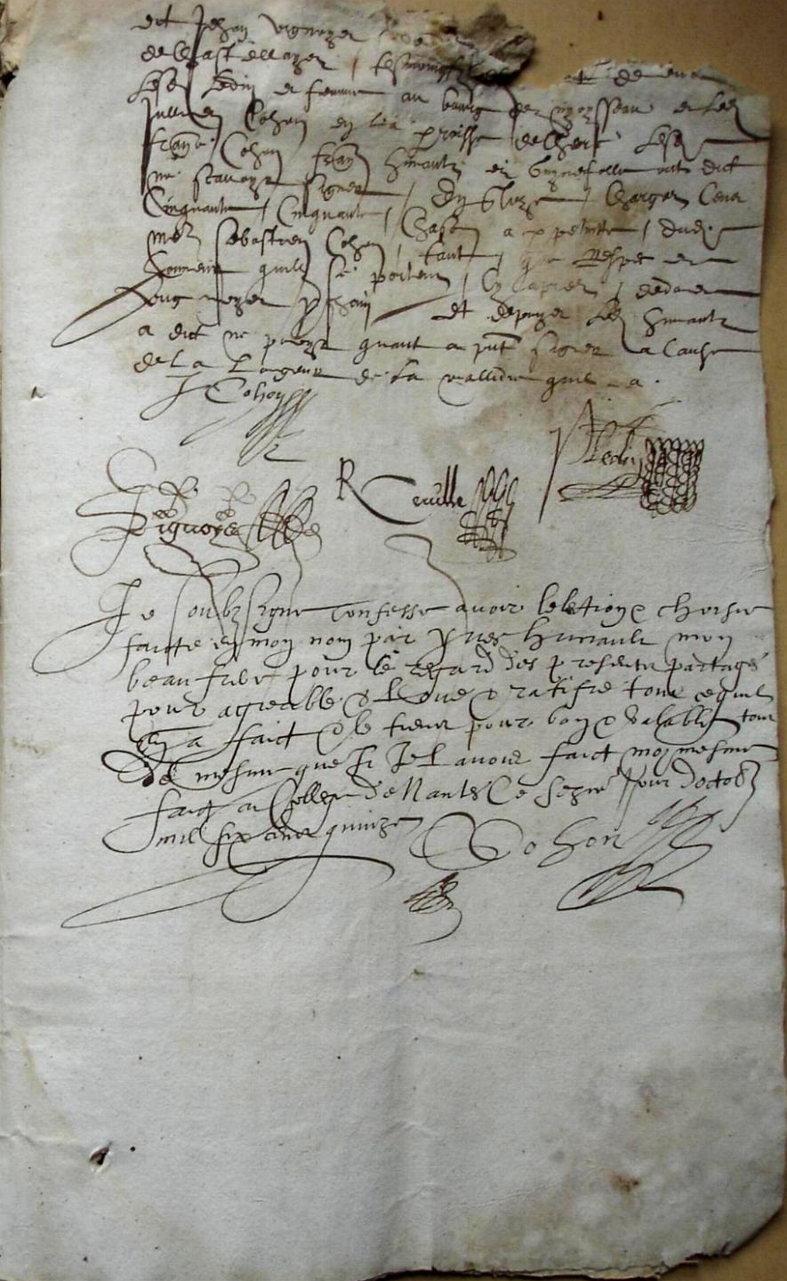 Cohon-G_1615 (17).JPG